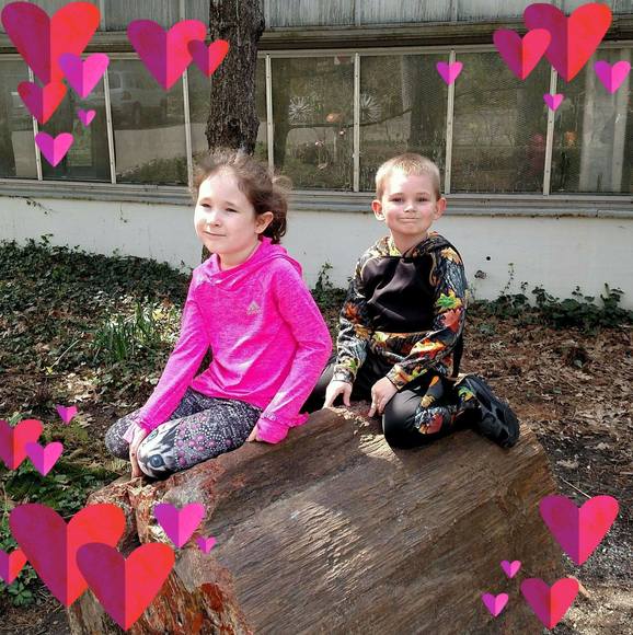 Meet your Posher, Elizabeth - Picture 1 of 1